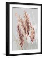 Blushing Pomp Grass II-Asia Jensen-Framed Art Print