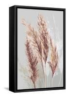 Blushing Pomp Grass II-Asia Jensen-Framed Stretched Canvas