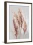 Blushing Pomp Grass II-Asia Jensen-Framed Art Print