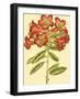 Blushing Rhodos IV-Vision Studio-Framed Art Print