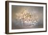 Blushing Silver and Gold Peony-Jai Johnson-Framed Giclee Print