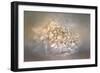 Blushing Silver and Gold Peony-Jai Johnson-Framed Giclee Print