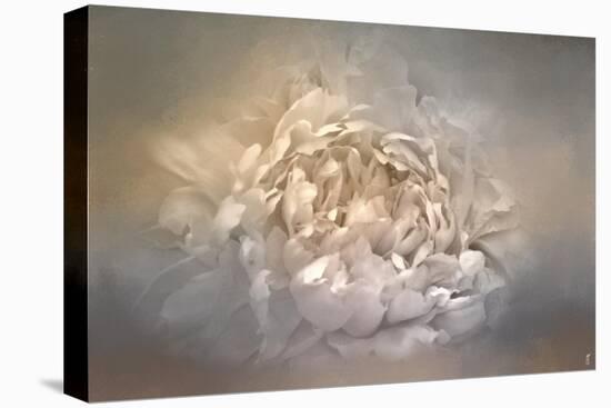 Blushing Silver and Gold Peony-Jai Johnson-Stretched Canvas