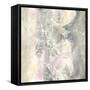 Blushing Snowflakes I-Chris Paschke-Framed Stretched Canvas