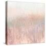 Blushing Woods-Roberto Gonzalez-Stretched Canvas