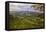 Blustery Afternoon Landscape, Mount Diablo-Vincent James-Framed Stretched Canvas