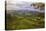 Blustery Afternoon Landscape, Mount Diablo-Vincent James-Stretched Canvas