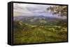 Blustery Afternoon Landscape, Mount Diablo-Vincent James-Framed Stretched Canvas