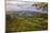 Blustery Afternoon Landscape, Mount Diablo-Vincent James-Mounted Photographic Print