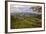 Blustery Afternoon Landscape, Mount Diablo-Vincent James-Framed Photographic Print