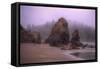 Blustery Beachscape, Trinidad California Coast-Vincent James-Framed Stretched Canvas