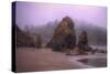 Blustery Beachscape, Trinidad California Coast-Vincent James-Stretched Canvas