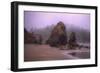 Blustery Beachscape, Trinidad California Coast-Vincent James-Framed Photographic Print