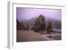 Blustery Beachscape, Trinidad California Coast-Vincent James-Framed Photographic Print