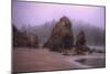 Blustery Beachscape, Trinidad California Coast-Vincent James-Mounted Photographic Print