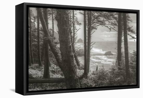 Blustery Day On The Oregon Coast, Cannon Beach, Ecola Point-Vincent James-Framed Stretched Canvas
