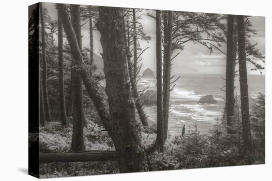 Blustery Day On The Oregon Coast, Cannon Beach, Ecola Point-Vincent James-Stretched Canvas