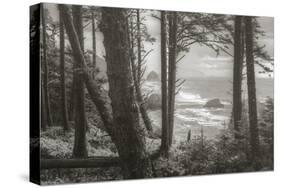 Blustery Day On The Oregon Coast, Cannon Beach, Ecola Point-Vincent James-Stretched Canvas