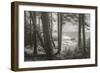 Blustery Day On The Oregon Coast, Cannon Beach, Ecola Point-Vincent James-Framed Photographic Print