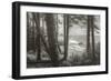 Blustery Day On The Oregon Coast, Cannon Beach, Ecola Point-Vincent James-Framed Photographic Print