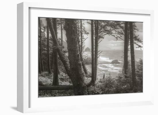 Blustery Day On The Oregon Coast, Cannon Beach, Ecola Point-Vincent James-Framed Photographic Print