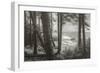 Blustery Day On The Oregon Coast, Cannon Beach, Ecola Point-Vincent James-Framed Photographic Print