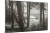 Blustery Day On The Oregon Coast, Cannon Beach, Ecola Point-Vincent James-Mounted Photographic Print