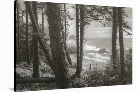 Blustery Day On The Oregon Coast, Cannon Beach, Ecola Point-Vincent James-Stretched Canvas