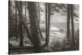 Blustery Day On The Oregon Coast, Cannon Beach, Ecola Point-Vincent James-Stretched Canvas