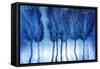 Blustery-Ursula Abresch-Framed Stretched Canvas