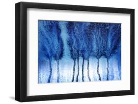 Blustery-Ursula Abresch-Framed Photographic Print