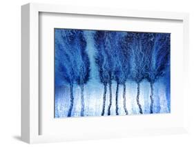 Blustery-Ursula Abresch-Framed Photographic Print