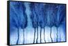 Blustery-Ursula Abresch-Framed Stretched Canvas