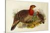 Blyth's Tragopan (Ceriornis Blythii)-Joseph Wolf-Stretched Canvas