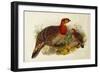 Blyth's Tragopan (Ceriornis Blythii)-Joseph Wolf-Framed Giclee Print