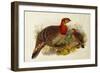 Blyth's Tragopan (Ceriornis Blythii)-Joseph Wolf-Framed Giclee Print