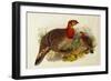 Blyth's Tragopan (Ceriornis Blythii)-Joseph Wolf-Framed Giclee Print