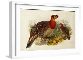 Blyth's Tragopan (Ceriornis Blythii)-Joseph Wolf-Framed Giclee Print