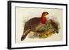 Blyth's Tragopan (Ceriornis Blythii)-Joseph Wolf-Framed Giclee Print