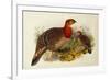 Blyth's Tragopan (Ceriornis Blythii)-Joseph Wolf-Framed Premium Giclee Print