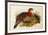 Blyth's Tragopan (Ceriornis Blythii)-Joseph Wolf-Framed Premium Giclee Print