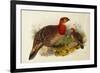 Blyth's Tragopan (Ceriornis Blythii)-Joseph Wolf-Framed Premium Giclee Print