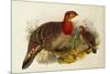 Blyth's Tragopan (Ceriornis Blythii)-Joseph Wolf-Mounted Premium Giclee Print