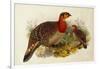 Blyth's Tragopan (Ceriornis Blythii)-Joseph Wolf-Framed Giclee Print