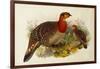 Blyth's Tragopan (Ceriornis Blythii)-Joseph Wolf-Framed Giclee Print