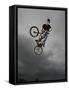 BMX Biker Performing Tricks-null-Framed Stretched Canvas