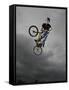 BMX Biker Performing Tricks-null-Framed Stretched Canvas