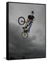 BMX Biker Performing Tricks-null-Framed Stretched Canvas