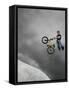 BMX Biker Performing Tricks-null-Framed Stretched Canvas