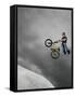 BMX Biker Performing Tricks-null-Framed Stretched Canvas